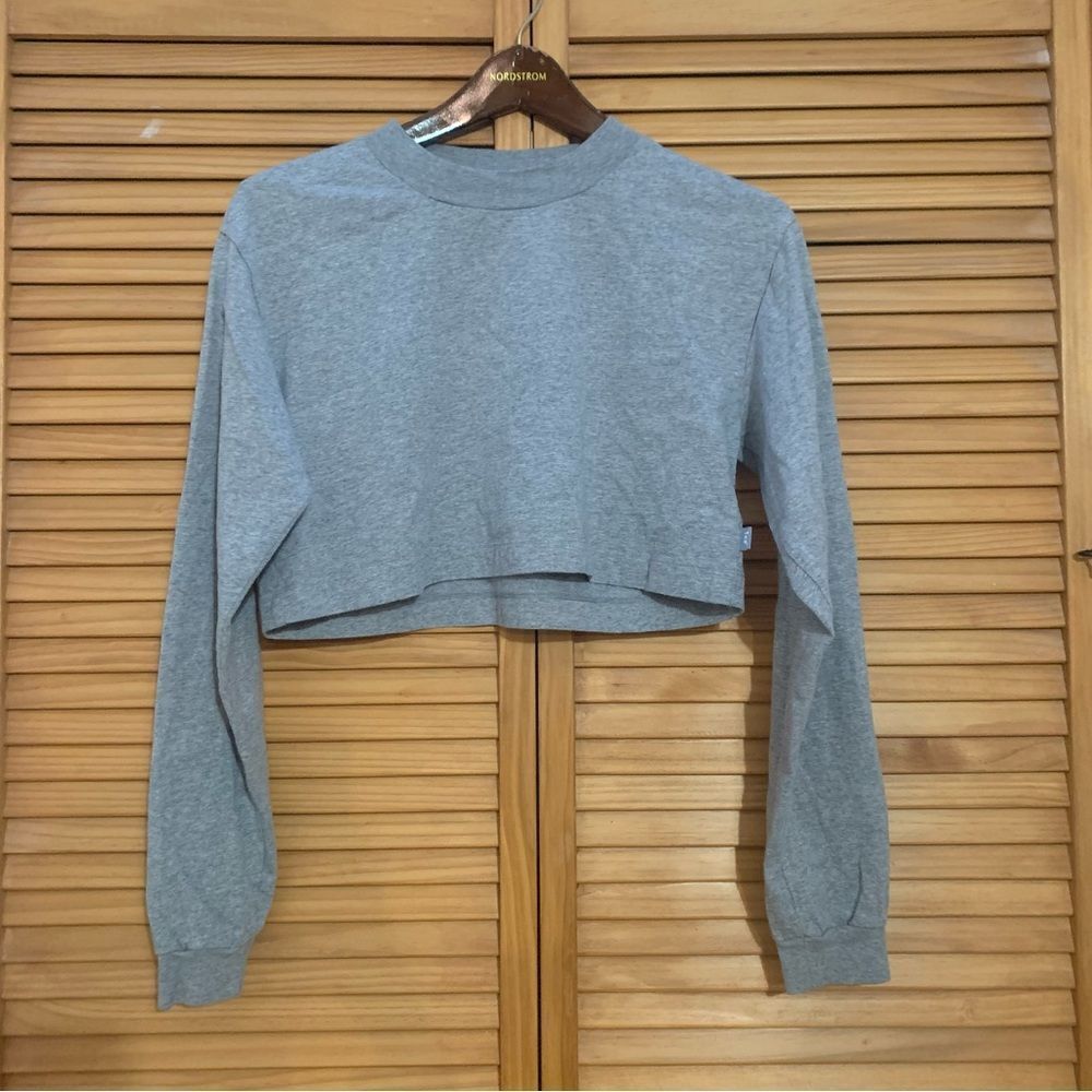 Aritzia Tna long sleeve crop gray size small